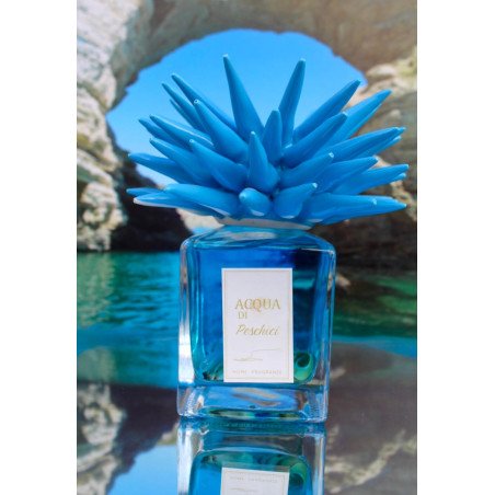 Mare 100ml